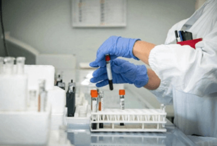Cancro al pancreas, un nuovo farmaco raddoppia il periodo di sopravvivenza: lo studio Cancro al pancreas, un nuovo farmaco raddoppia il periodo di sopravvivenza: lo studio