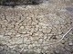 Clima, allarme Onu: "Terra in zona pericolo. El Niño sta assumendo proporzioni enormi" Clima, allarme Onu: "Terra in zona pericolo. El Niño sta assumendo proporzioni enormi"
