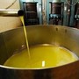 Unifol: "Per movimenti dell'olio sfuso sì alla bolla elettronica " Unifol: "Per movimenti dell'olio sfuso sì alla bolla elettronica "