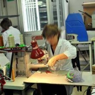 Lavoro, Inapp: "Differenze percepite da 58% donne e 43,6% uomini" Lavoro, Inapp: "Differenze percepite da 58% donne e 43,6% uomini"