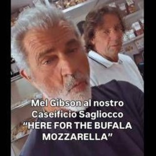 Mel Gibson nel casertano, l'attore pazzo per la mozzarella di bufala Mel Gibson nel casertano, l'attore pazzo per la mozzarella di bufala