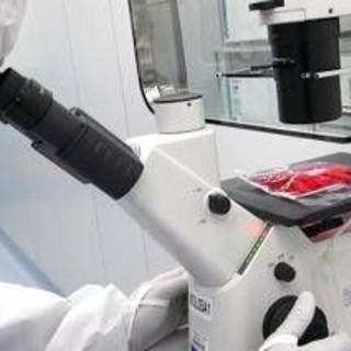 Cellule Car-T e malattie autoimmuni, studio del Bambino Gesù conferma l'efficacia