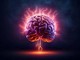 Scoperto nel cervello 'freno' che disattiva il dolore cronico, lo studio Scoperto nel cervello 'freno' che disattiva il dolore cronico, lo studio