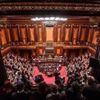 Antisemitismo, via libera del Senato al ddl: Pd si divide Antisemitismo, via libera del Senato al ddl: Pd si divide