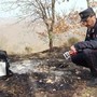 Incendi, Carabinieri Forestali: "98% causati dall'uomo, in primi 6 mesi 3800 ettari bruciati" Incendi, Carabinieri Forestali: "98% causati dall'uomo, in primi 6 mesi 3800 ettari bruciati"