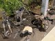 Incidente mortale a Savona, padre autore video: "Sono disperato, voglio chiedere perdono ai genitori di Sofia ed Emma" Incidente mortale a Savona, padre autore video: "Sono disperato, voglio chiedere perdono ai genitori di Sofia ed Emma"