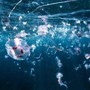 Bimbi in vacanza tra caldo record e punture di zecche e meduse, i consigli dell'esperta: "Ecco quando andare in ospedale" Bimbi in vacanza tra caldo record e punture di zecche e meduse, i consigli dell'esperta: "Ecco quando andare in ospedale"