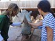 Zoom Torino protegge i rinoceronti bianchi del Parco Nazionale Pilanesberg in Sudafrica con il progetto “Adotta un rinoceronte”